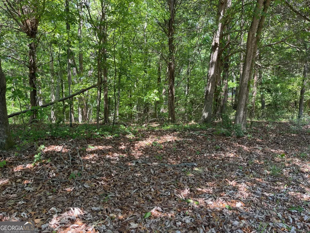 TRACT 1A CHALCREST WAY Cave Spring, GA 30124