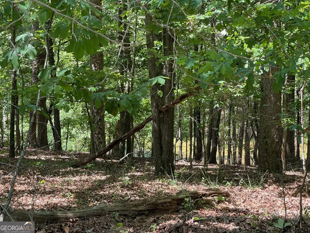 TRACT 1A CHALCREST WAY Cave Spring, GA 30124
