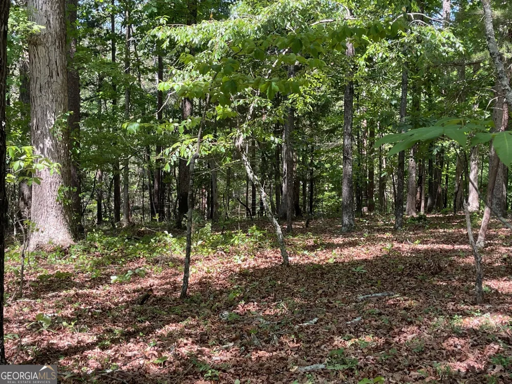 TRACT 1A CHALCREST WAY Cave Spring, GA 30124