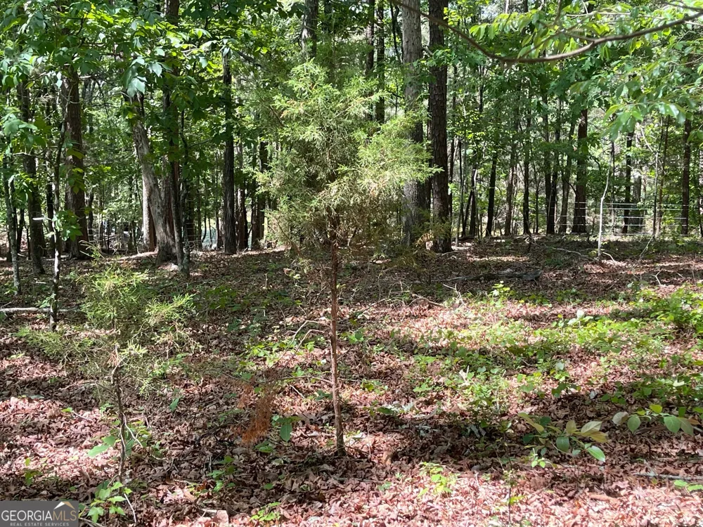 TRACT 1A CHALCREST WAY Cave Spring, GA 30124