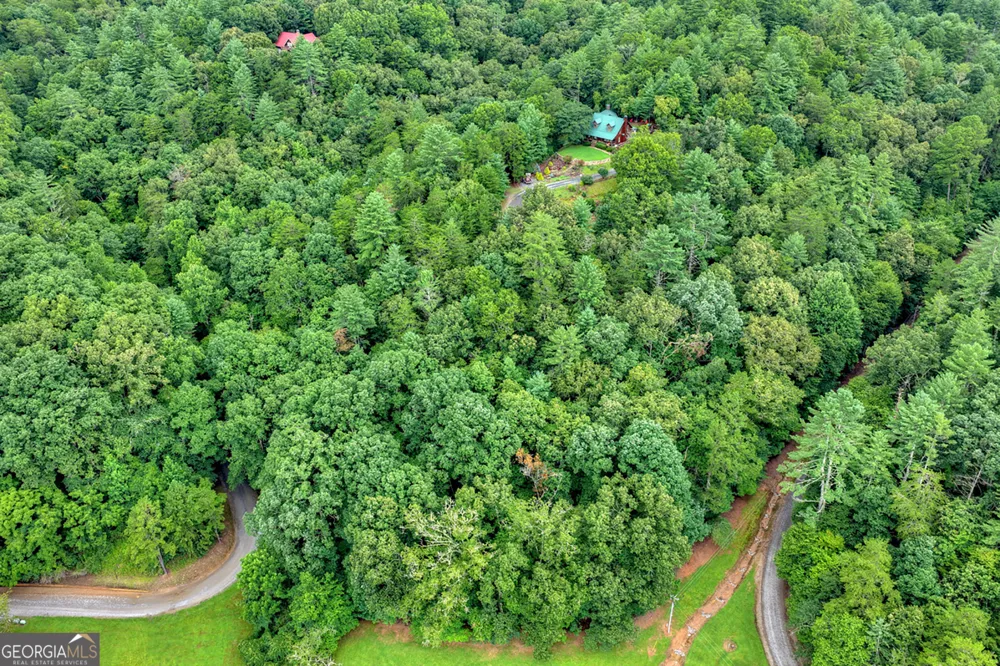 LOT 5B Toccoa River FRST Mineral Bluff, GA 30559