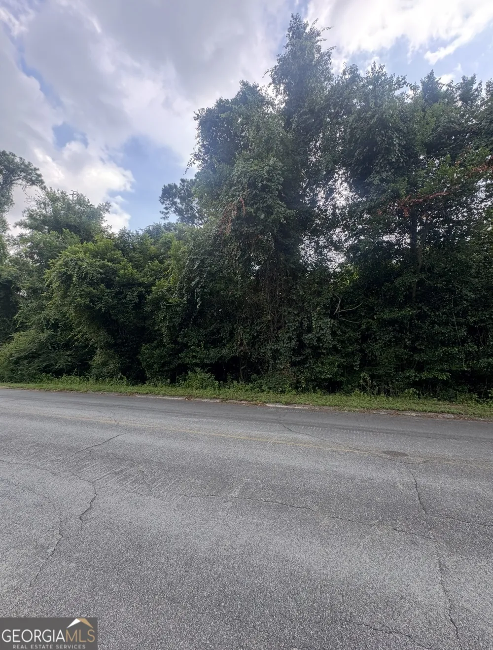 2.22 ACRES SEMINOLE TRL Seminole TRL Waycross, GA 31501