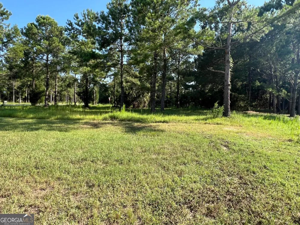 V/L 527 Beacon Pointe PKWY Waverly, GA 31565