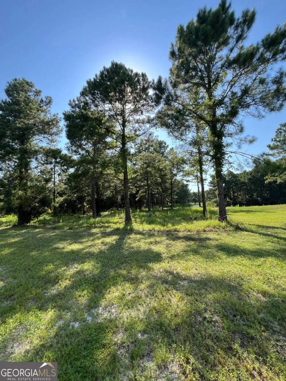 V/L 527 Beacon Pointe PKWY Waverly, GA 31565