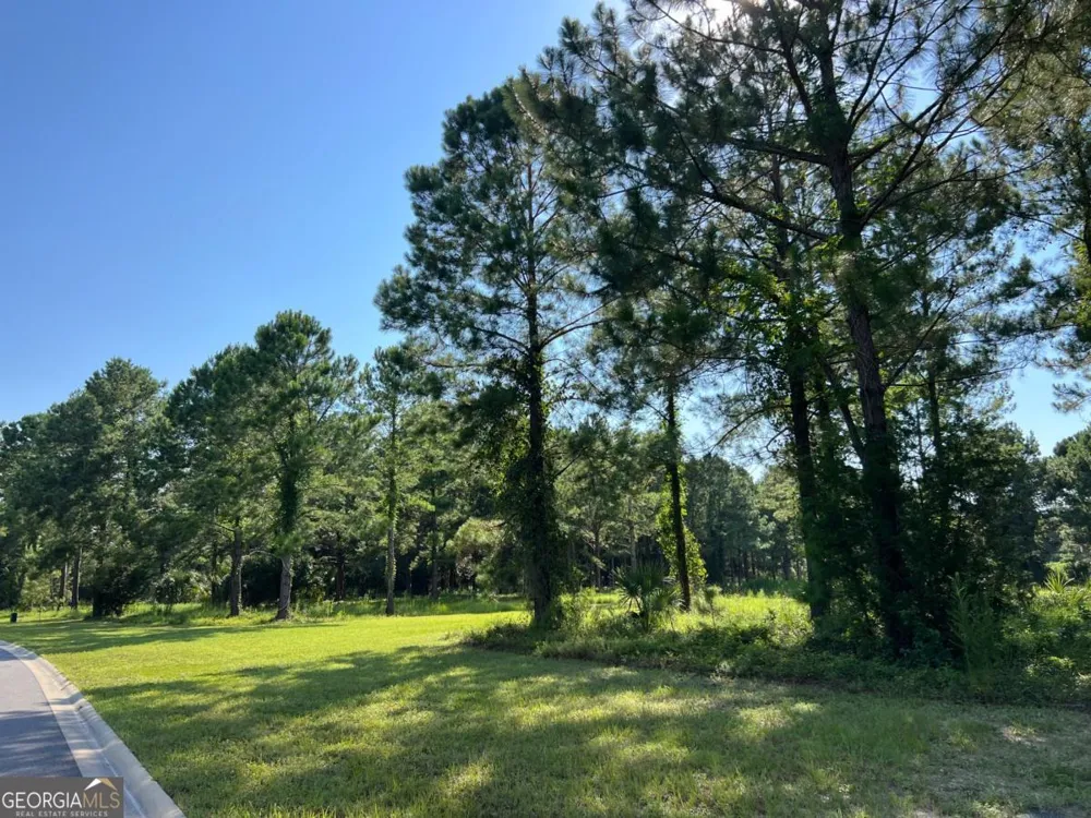 V/L 527 Beacon Pointe PKWY Waverly, GA 31565