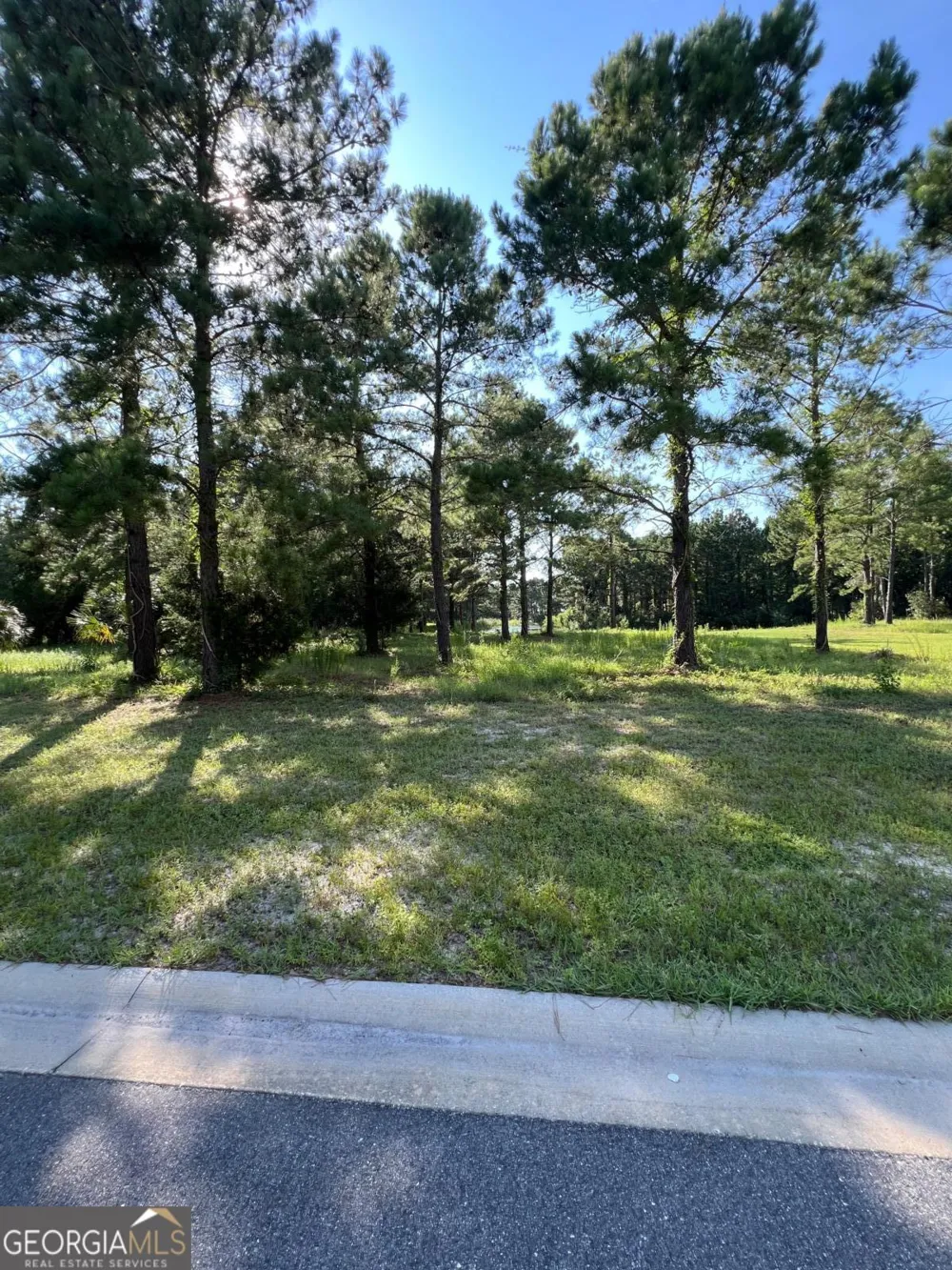 V/L 527 Beacon Pointe PKWY Waverly, GA 31565