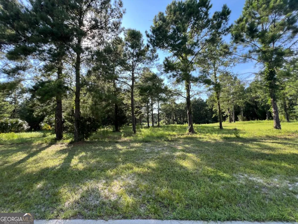 V/L 527 Beacon Pointe PKWY Waverly, GA 31565