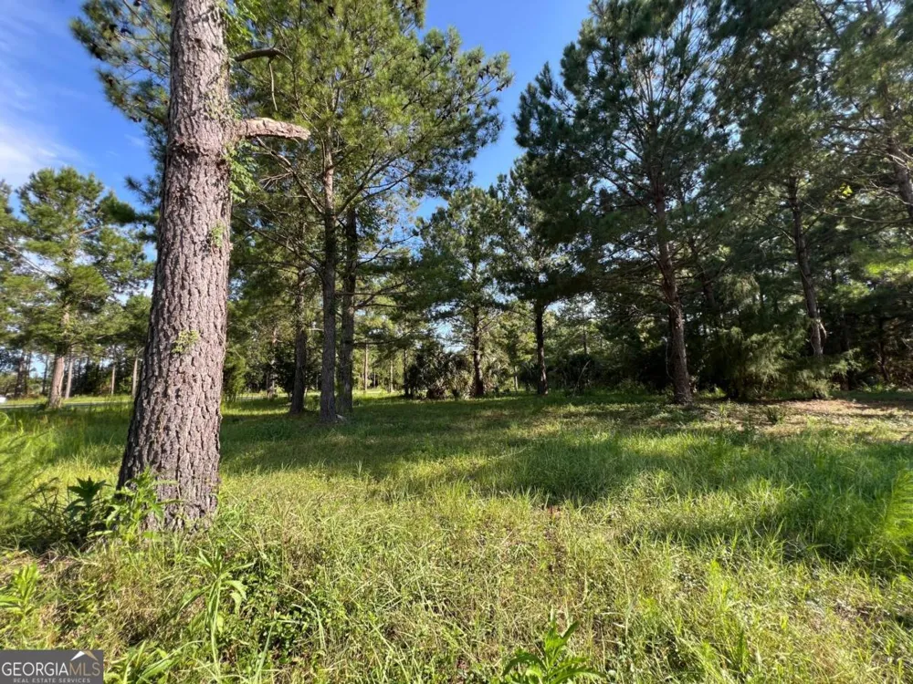 V/L 527 Beacon Pointe PKWY Waverly, GA 31565