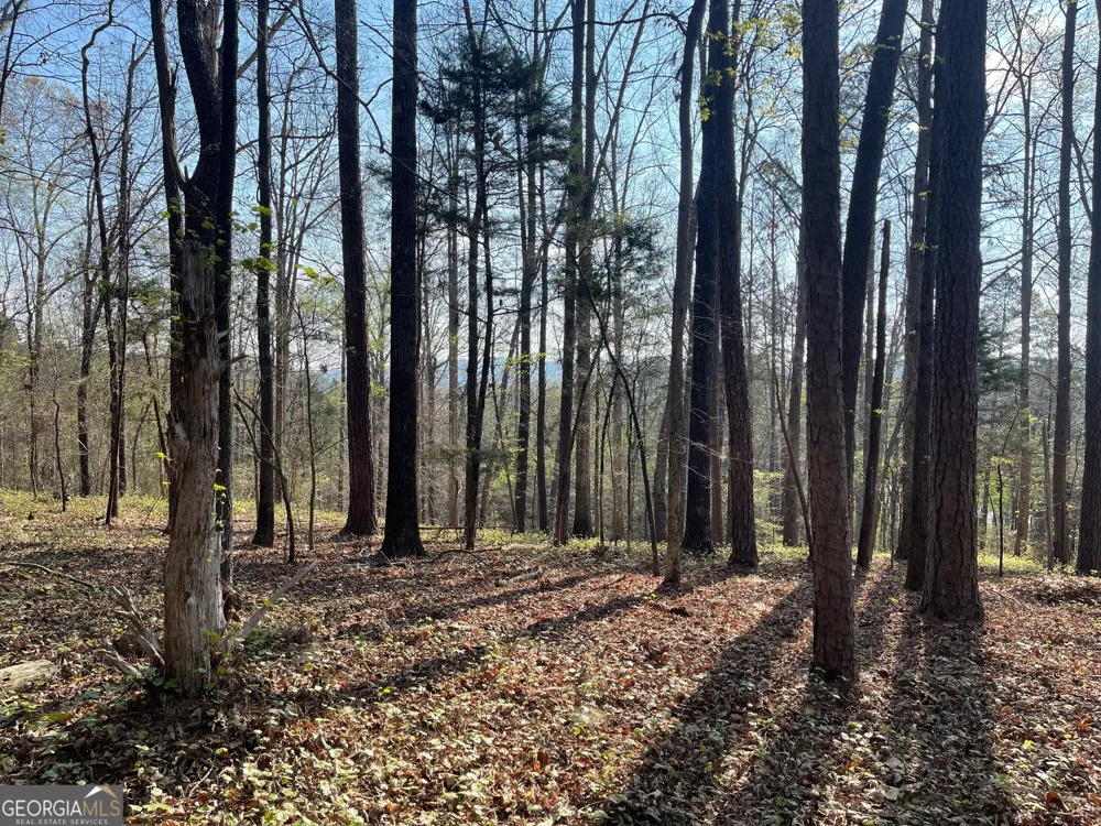 TRACT 1B CHALCREST WAY Cave Spring, GA 30124