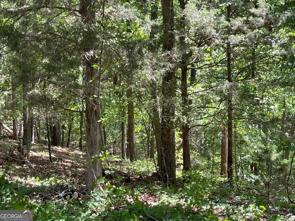 TRACT 1B CHALCREST WAY Cave Spring, GA 30124