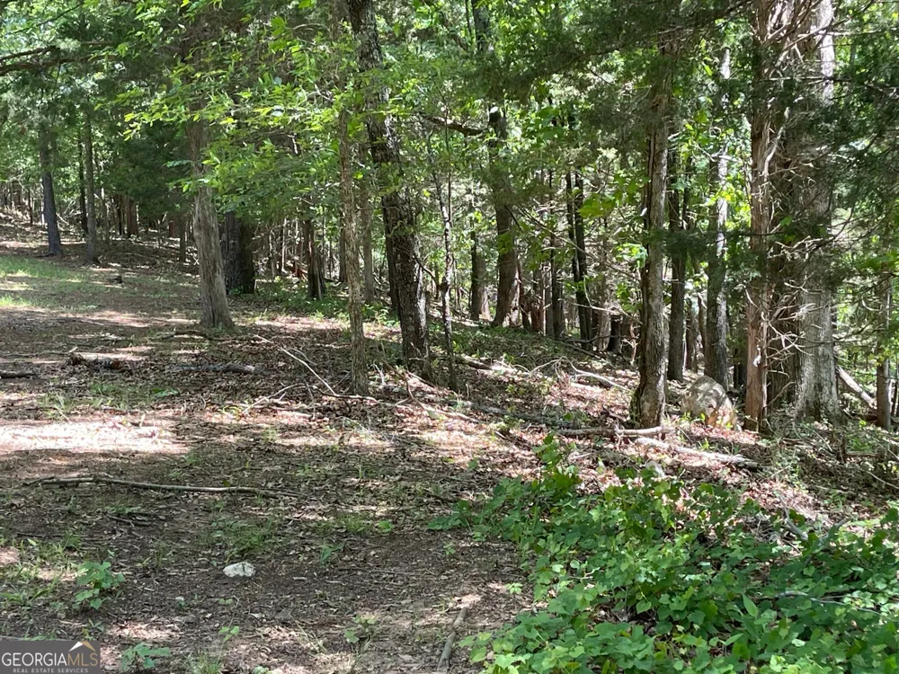 TRACT 1B CHALCREST WAY Cave Spring, GA 30124