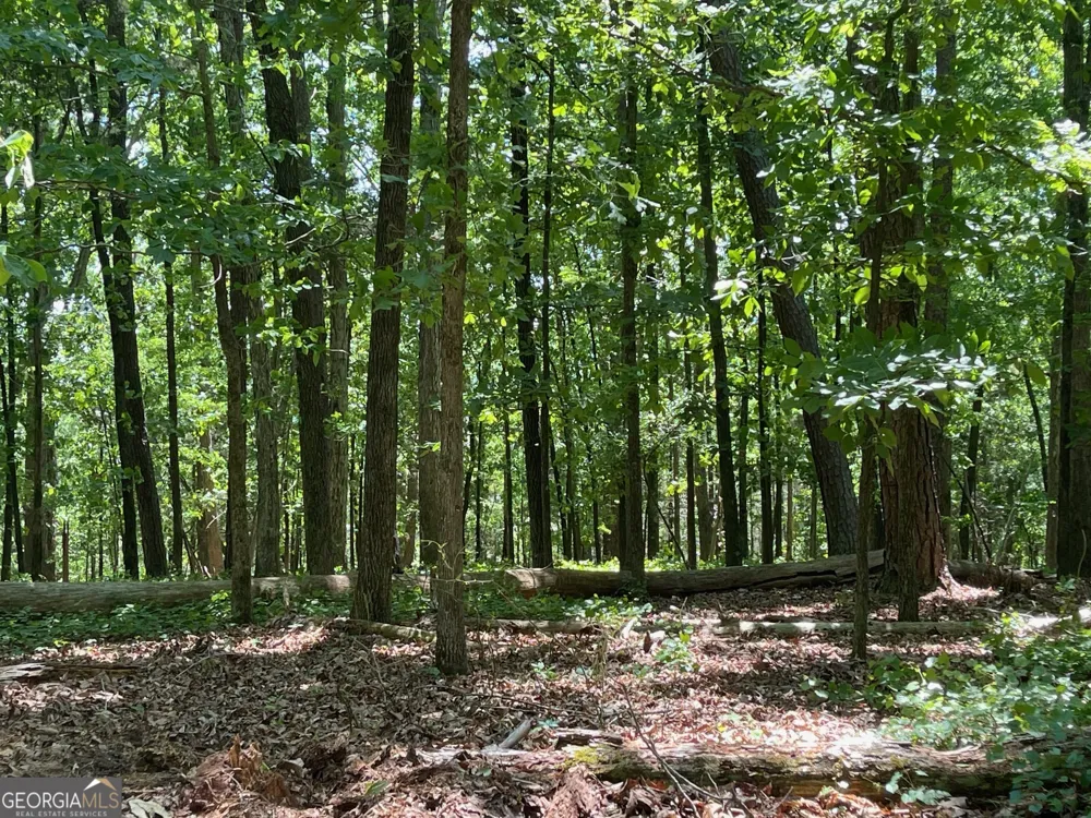 TRACT 1B CHALCREST WAY Cave Spring, GA 30124