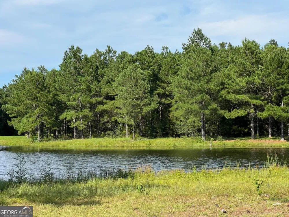 V/L 528 Beacon Pointe PKWY Waverly, GA 31565