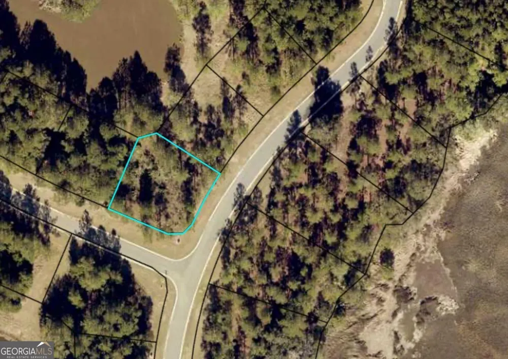 V/L 528 Beacon Pointe PKWY Waverly, GA 31565