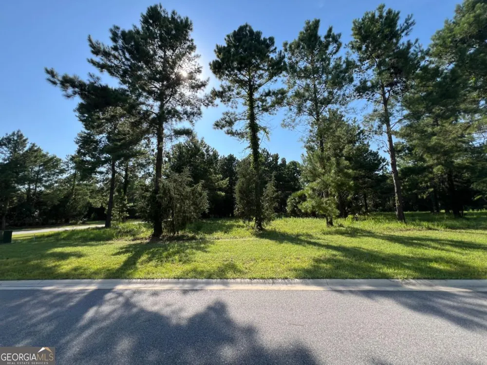 V/L 528 Beacon Pointe PKWY Waverly, GA 31565