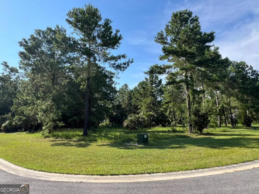 V/L 528 Beacon Pointe PKWY Waverly, GA 31565