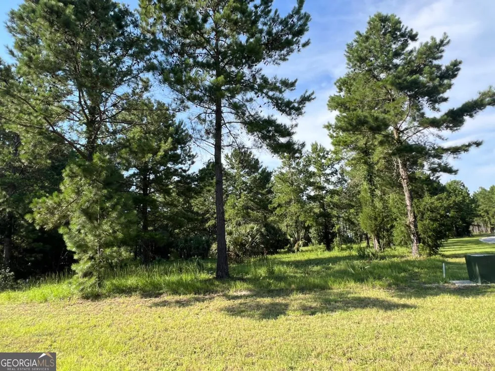 V/L 528 Beacon Pointe PKWY Waverly, GA 31565