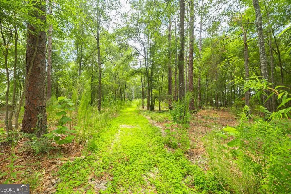 0 Hwy 80 Ellabell, GA 31308