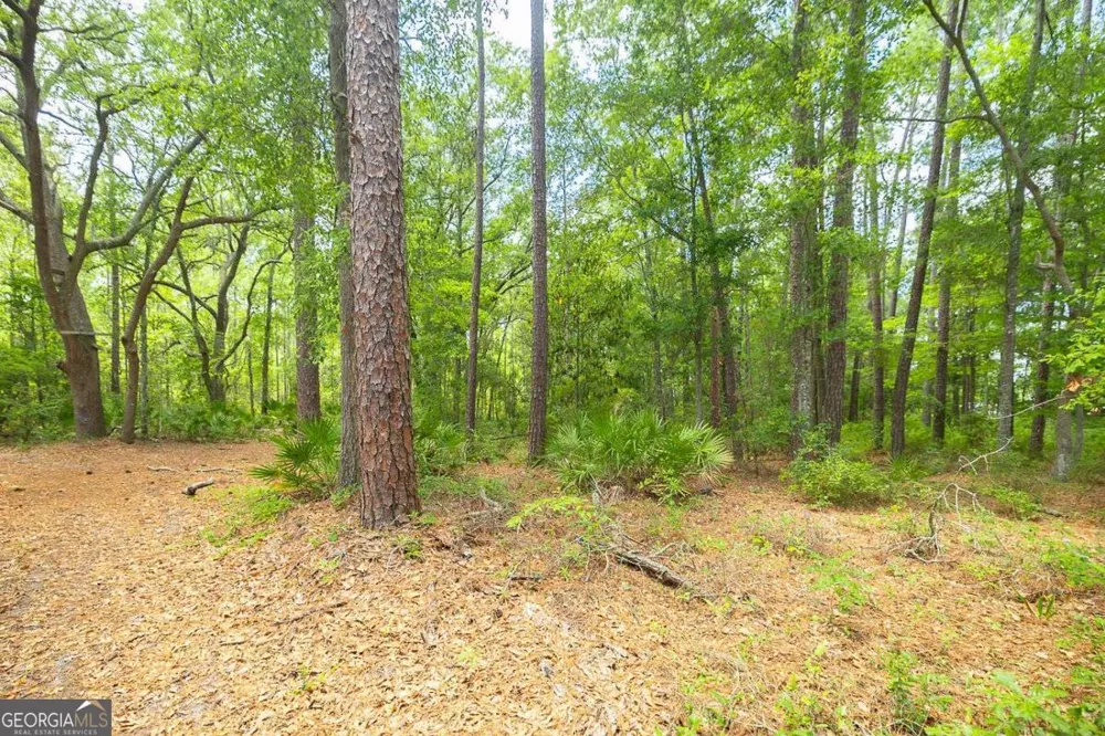 0 Hwy 80 Ellabell, GA 31308