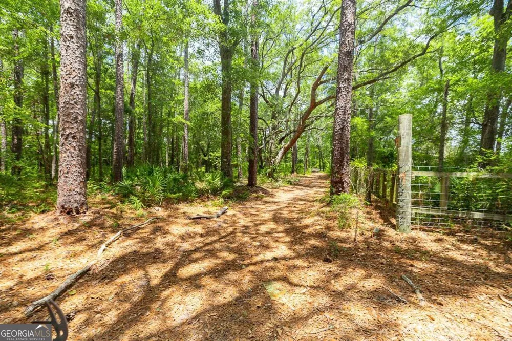 0 Hwy 80 Ellabell, GA 31308