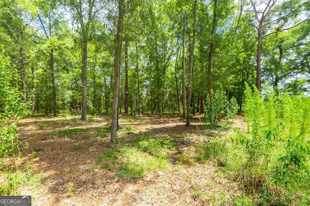 0 Hwy 80 Ellabell, GA 31308