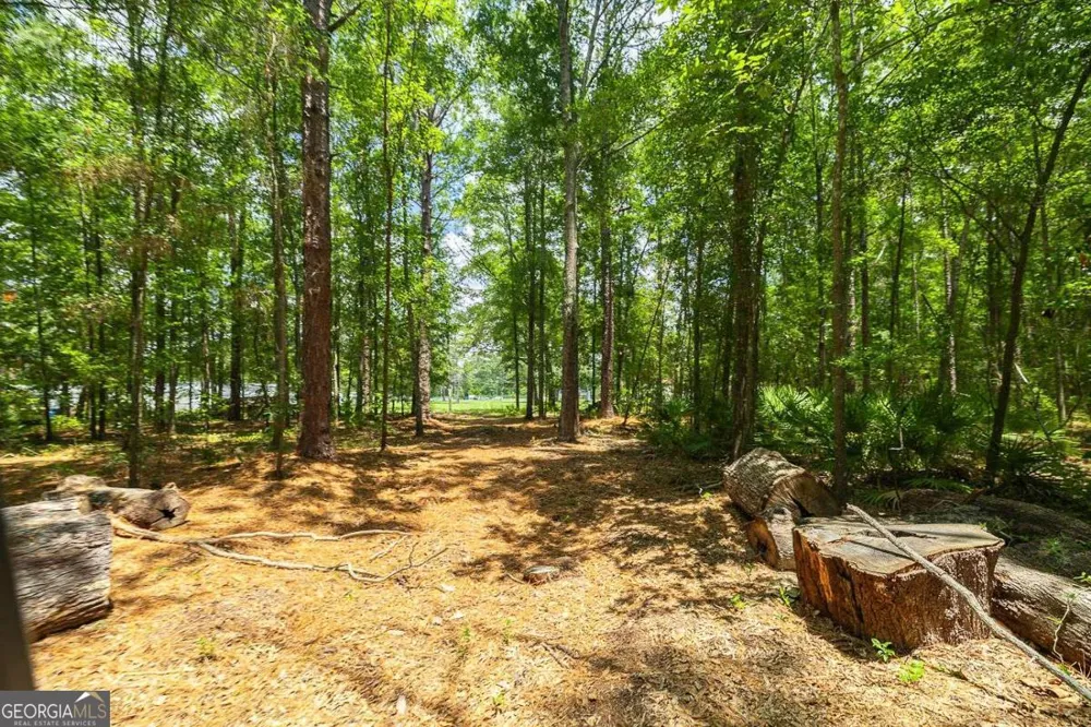 0 Hwy 80 Ellabell, GA 31308