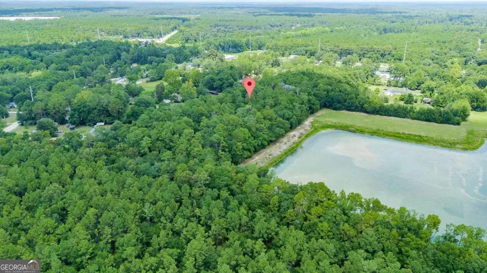 0 Hwy 80 Ellabell, GA 31308