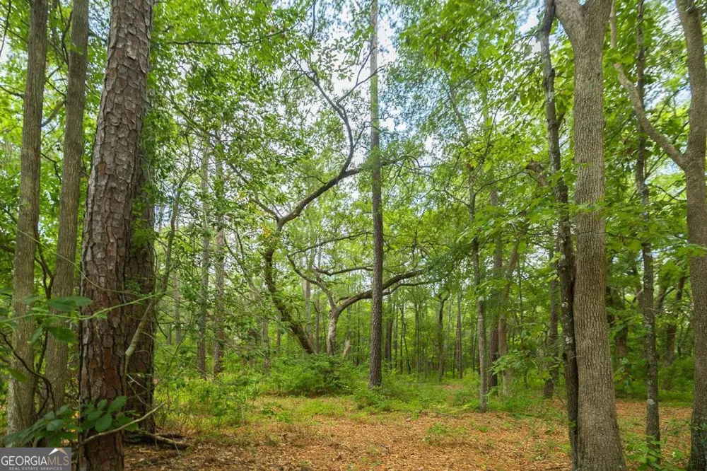 0 Hwy 80 Ellabell, GA 31308