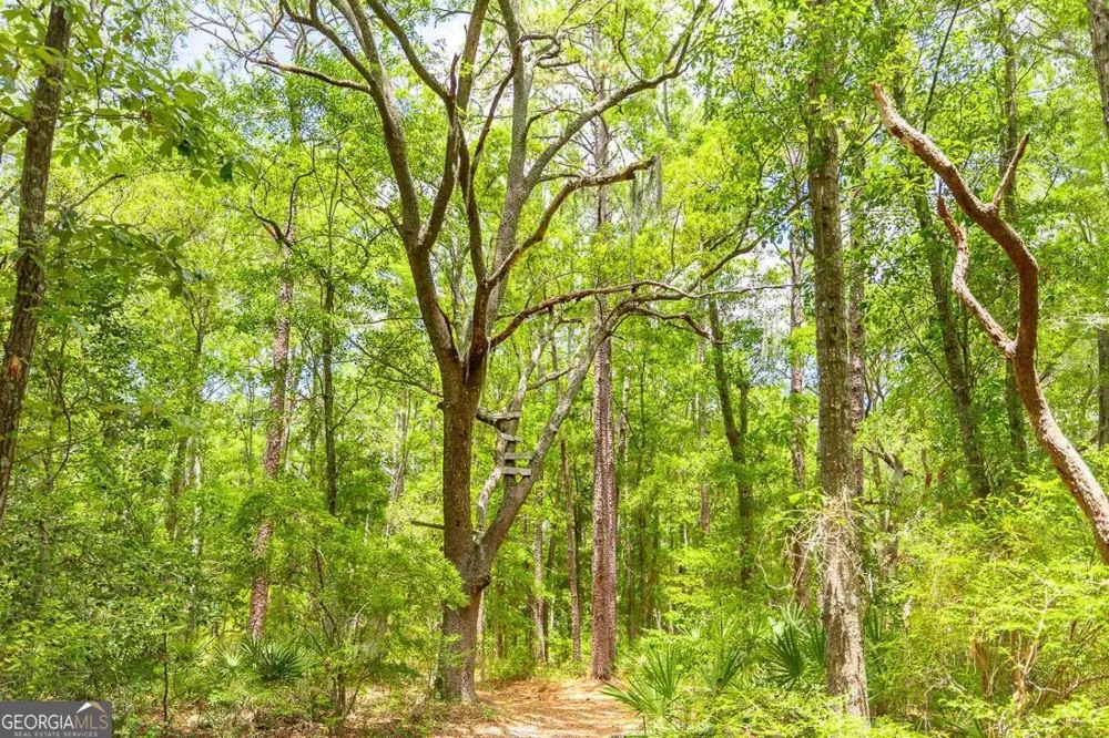 0 Hwy 80 Ellabell, GA 31308