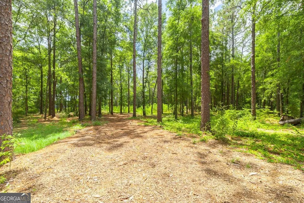 0 Hwy 80 Ellabell, GA 31308