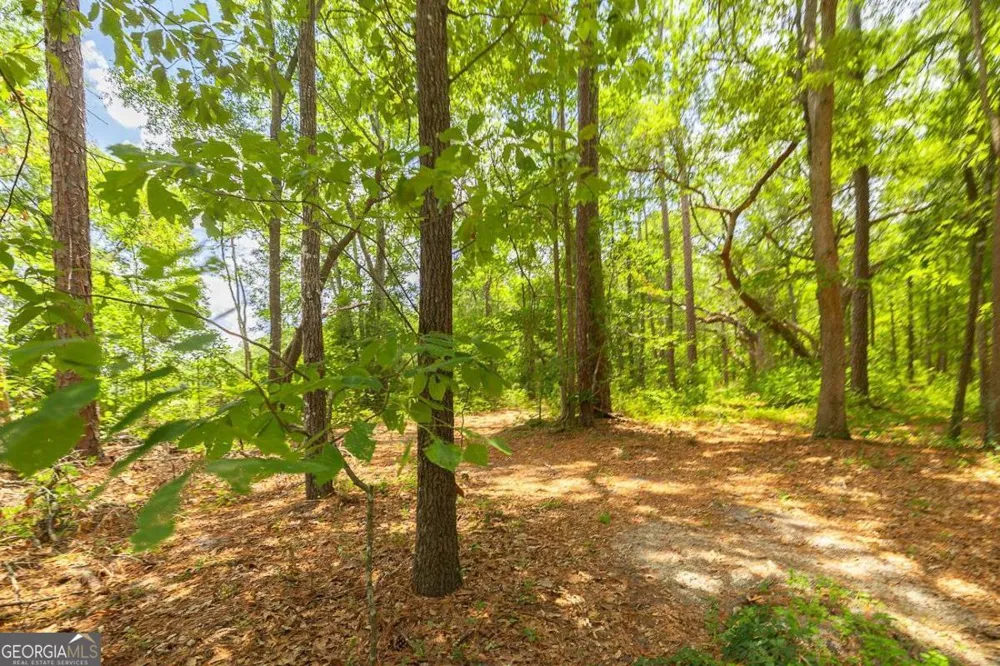 0 Hwy 80 Ellabell, GA 31308