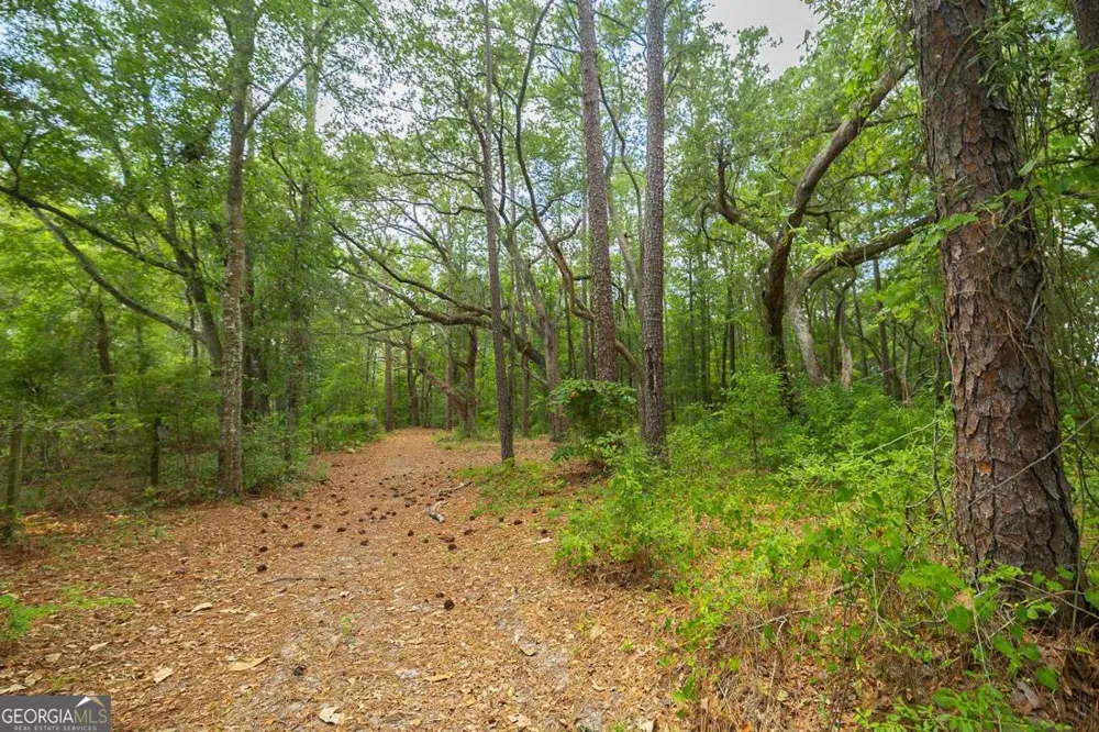 0 Hwy 80 Ellabell, GA 31308