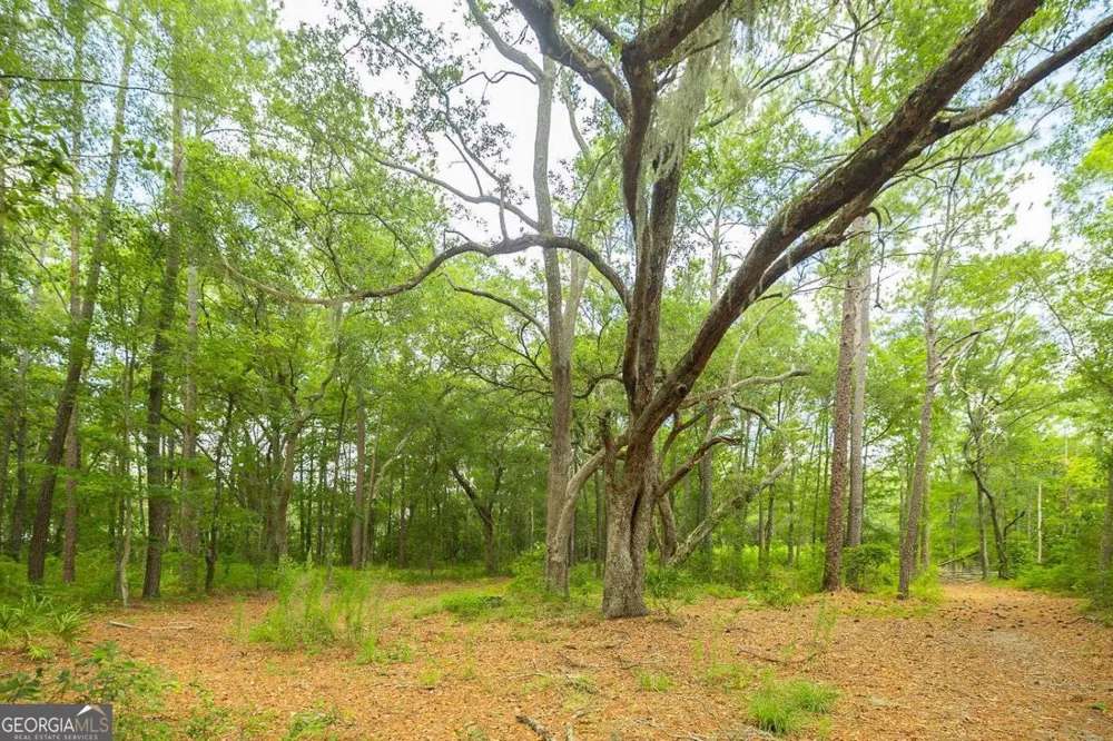 0 Hwy 80 Ellabell, GA 31308