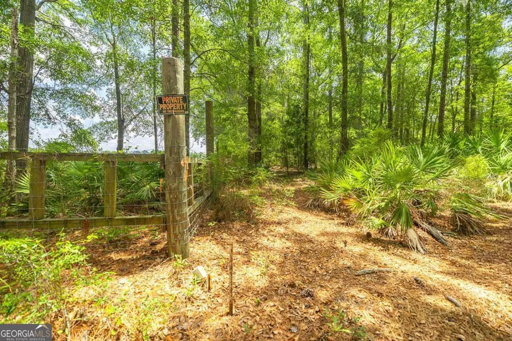 0 Hwy 80 Ellabell, GA 31308