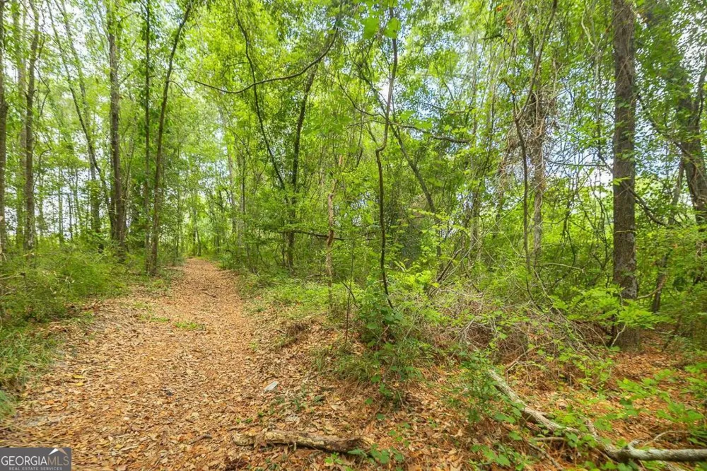 0 Hwy 80 Ellabell, GA 31308