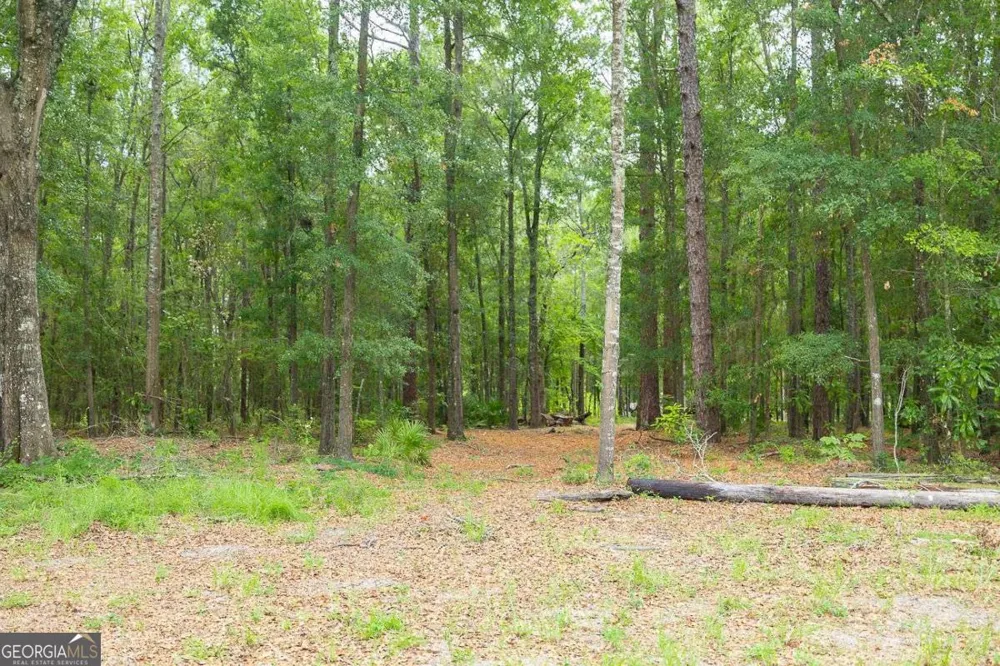 0 Hwy 80 Ellabell, GA 31308