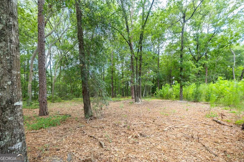 0 Hwy 80 Ellabell, GA 31308