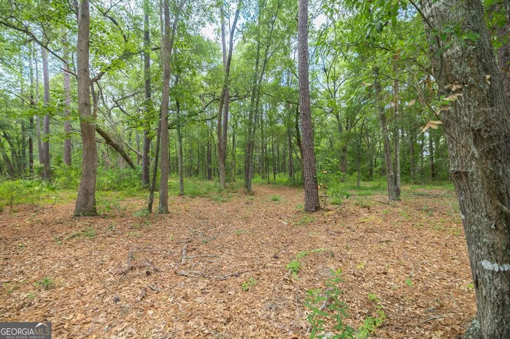 0 Hwy 80 Ellabell, GA 31308