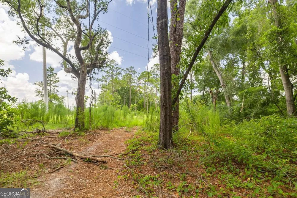 0 Hwy 80 Ellabell, GA 31308