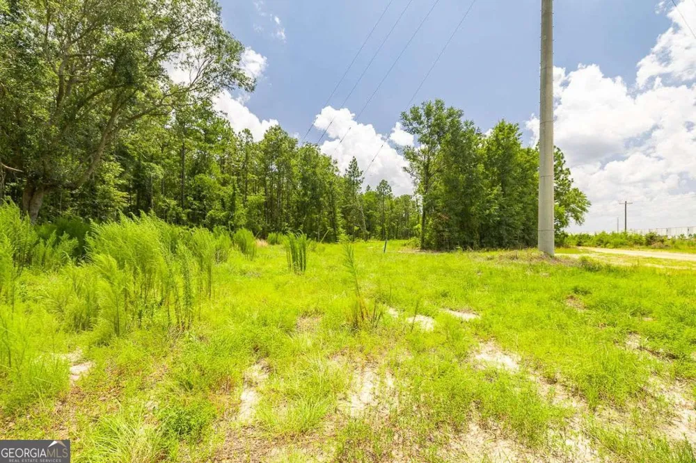 0 Hwy 80 Ellabell, GA 31308