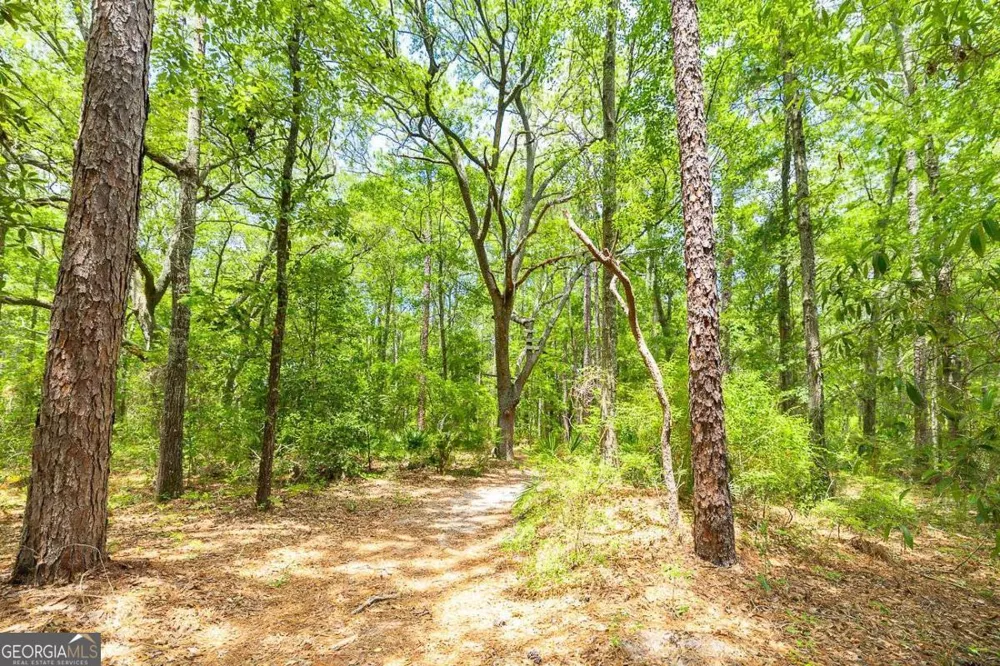 0 Hwy 80 Ellabell, GA 31308
