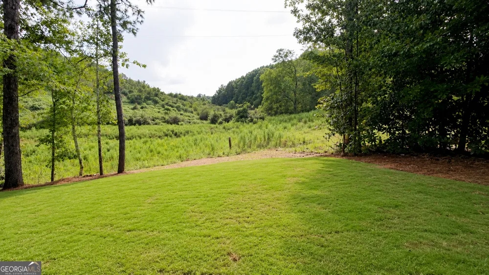 654 Bald Ridge CIR Demorest, GA 30535