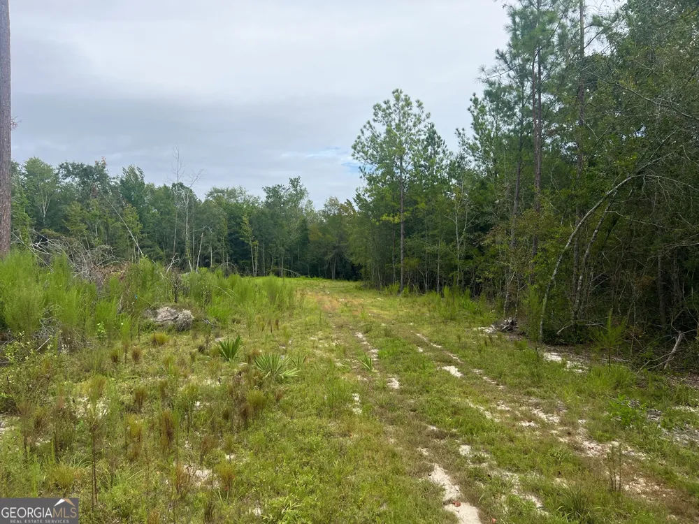 0 Old Ailey-Lothair RD Mount Vernon, GA 30445