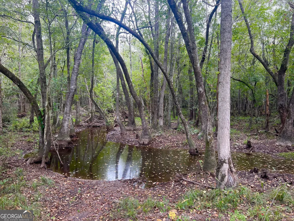 0 Old Ailey-Lothair RD Mount Vernon, GA 30445
