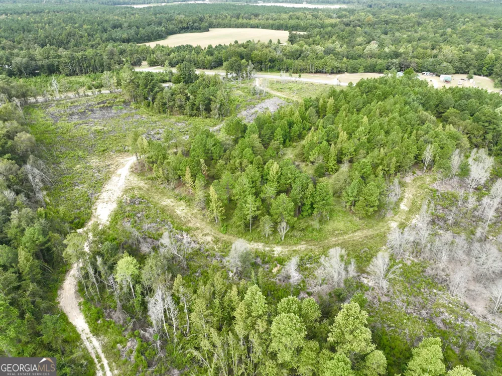 0 Old Ailey-Lothair RD Mount Vernon, GA 30445