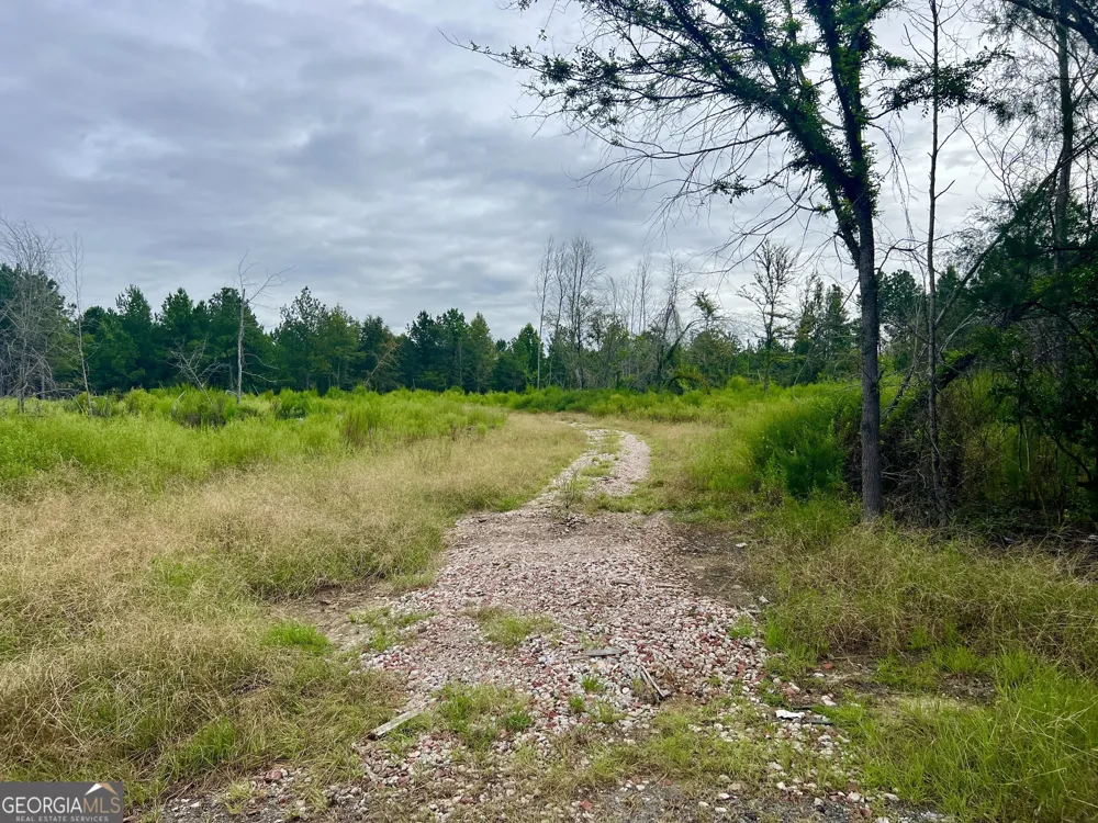 0 Old Ailey-Lothair RD Mount Vernon, GA 30445
