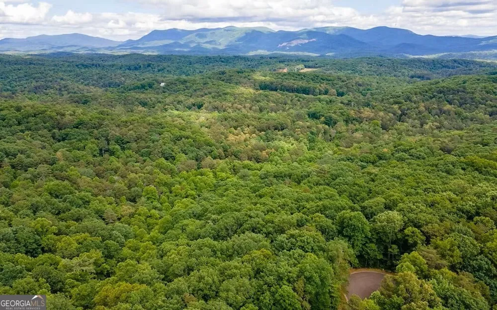 0 Abbott Mill RD Ellijay, GA 30540