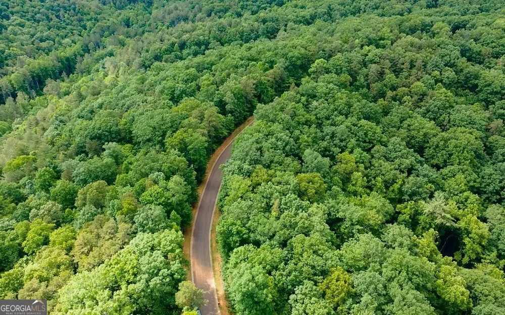0 Abbott Mill RD Ellijay, GA 30540