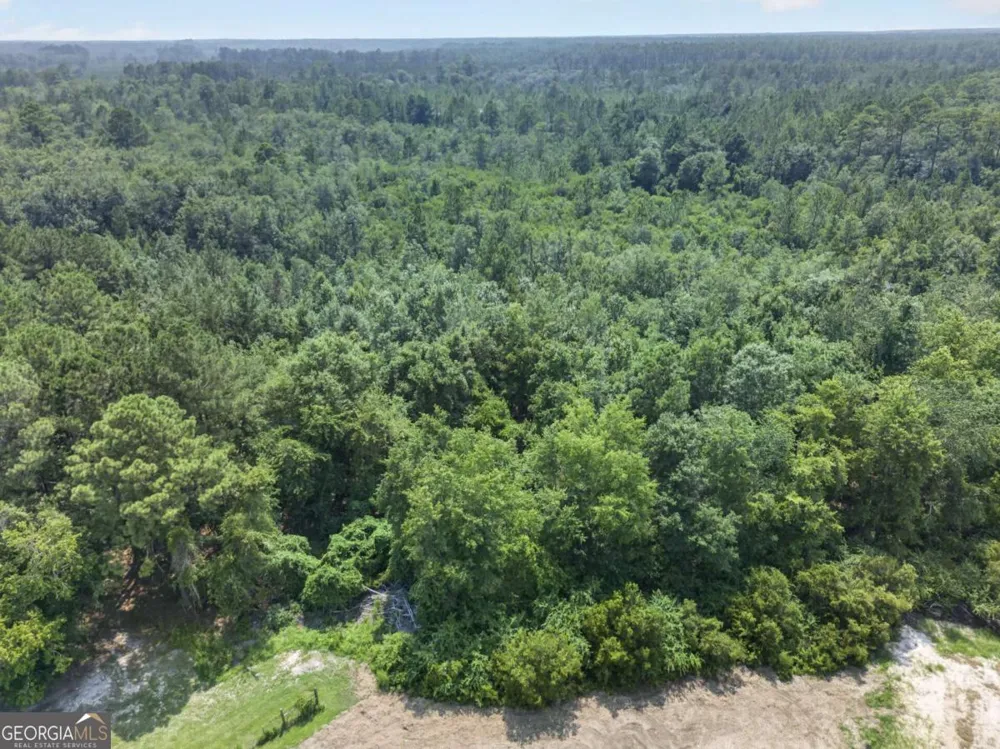 481 S T Morris RD NE Ludowici, GA 31316