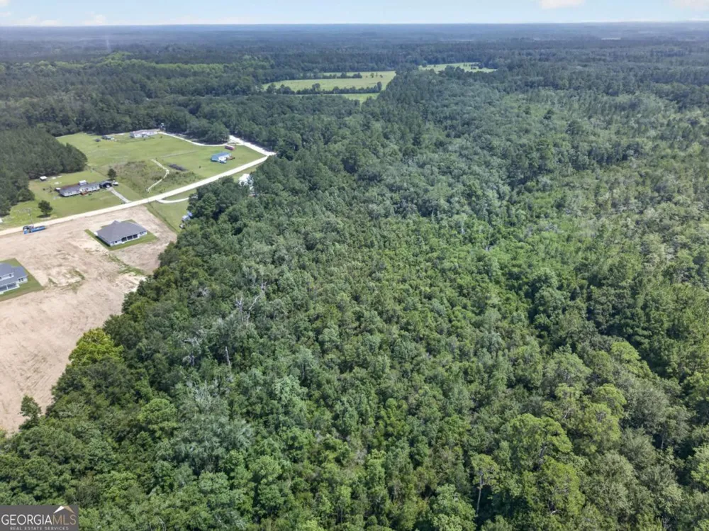 481 S T Morris RD NE Ludowici, GA 31316
